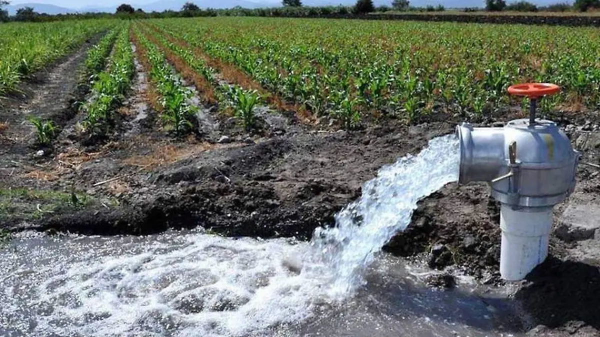 AGRODINAMICA FOTO JAVIER CRUZ